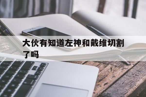 必威体育-大伙有知道左神和戴维切割了吗(大伙有知道左神和戴维切割了吗是哪一集)